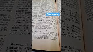 ВАСИЛЕК ОТ ДЕМОНОВ? ПАПЮС