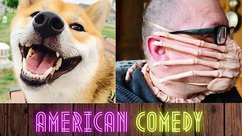 FUNNIEST MOMENTS - AMERICAN COMEDY