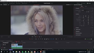 322382 33   Creating a Snowfall Particle Effect   Guide to DaVinci Resolve 16 Video Editing