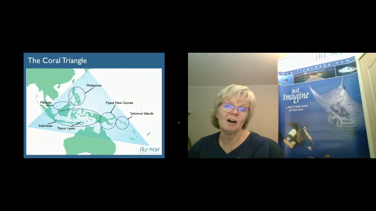 The Top 10 Dive Travel Tips