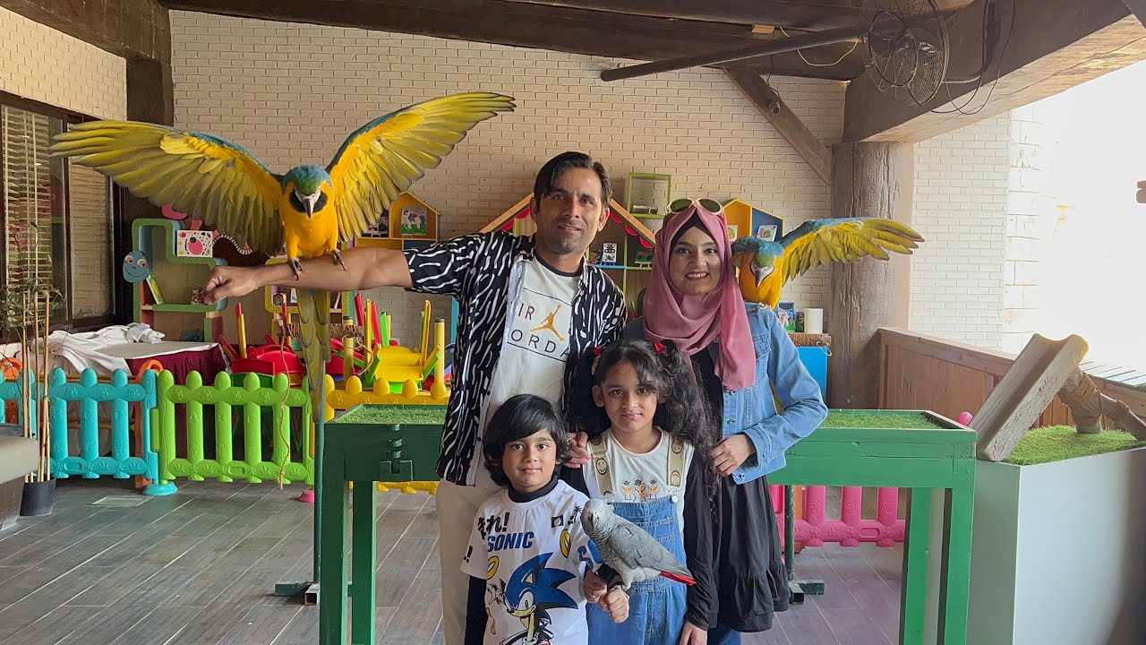 Breakfast with Jelly and other Tropical Birds | Emirates Park zoo Abu Dhabi !