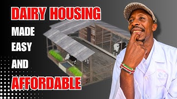 BUILD A BUDGET FRIENDLY COW SHED | Cost-Effective & Essential Features