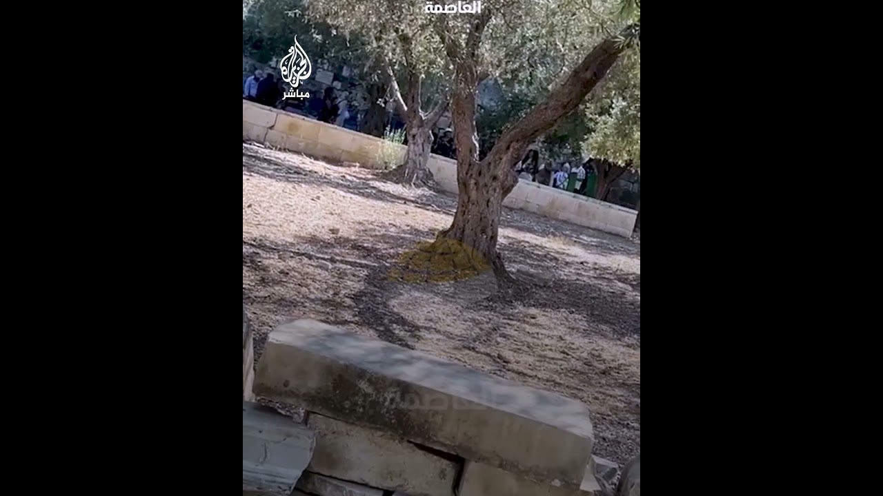 مستوطنون يقتحمون المسجد الأقصى ويؤدون طقوسا تلمودية في باحاته تحت حراسة قوات الاحتلال