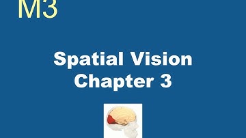 Sensation & Perception - M3 - Spatial Vision