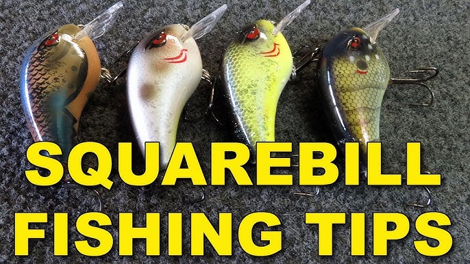 Wiggle Wart Crankbaits Explained and How To Identify Them 