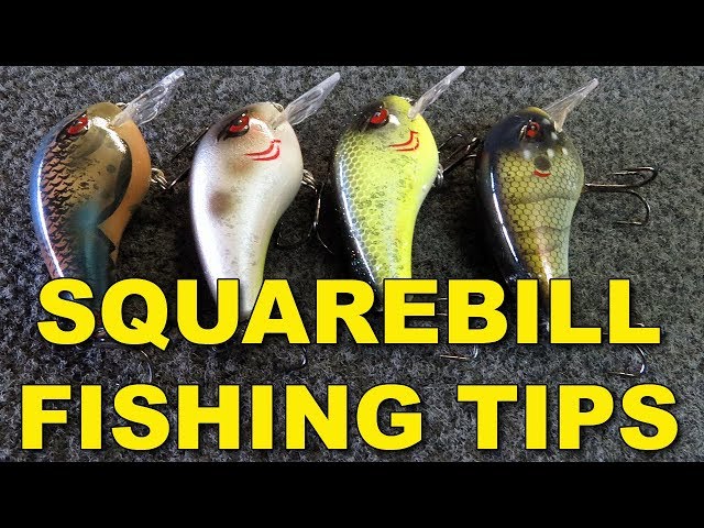 How To Fish Squarebill Crankbaits for Bigger Bass - Line, Rod