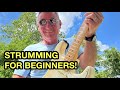 New to guitar?  These strumming tricks and tips will have you playing better within days!