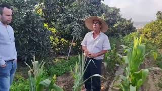 Pasantia Fundo Bustamante Cañete-Perú