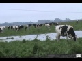 Trabajo de Campo/ "Contra viento y marea" - Televisión Pueblerina