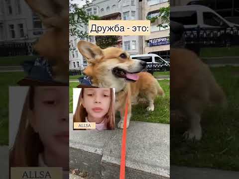 Что такое дружба, если ты - блогер