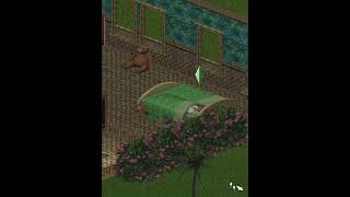The burglar came back from the dead just to steal from me! #thesims1 #sims1 #burglar #gameshorts