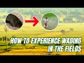 How to experience wading in the fieldsasianvibe365 wadinginricefields