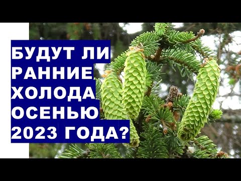 Видео: Список дел по садоводству на осень: сентябрь в северо-восточном регионе