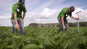 Irrigation Scheduling, Part 1: What is irrigation scheduling?