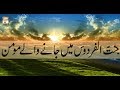 Watch Al-Hadi - 20th March 2017 - ARY Qtv Online In HD