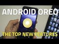 Android 8.0 Oreo Update Schedules for Google Pixel, Nokia, OnePlus, Lenovo, Asus, Micromax Phones, and More  