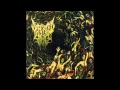 Defeated Sanity - Hideously Disembodied - HD