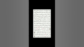 #greenscreen #قرآن كريم اكسبلو #راحة_نفسية #اكسبلورهاشتاقات #الشيخ #تيك_توك #المراه #القارئ #دويتو
