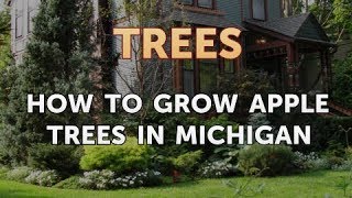 How to Grow Apple Trees in Michigan