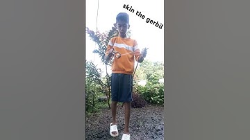 yoyo tricks skin the gerbil #yoyo #yoyotricks #shorts #viralvideo #trending #subscribe #1k