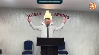 IOSIF BERCE | Sindromul femeii samaritence