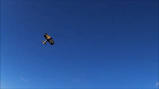 Pitts Model 12S "Python" - 1070mm Dynam - Flights