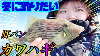 まだ釣れる！極寒のボートで肝パンカワハギを釣る