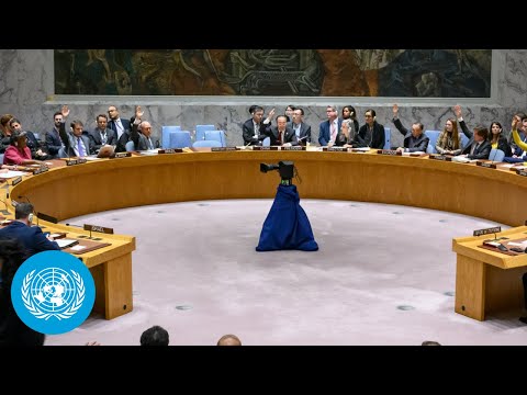 Security Council - The Middle East & Israel/Palestine Crisis | United Na...