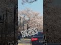보 성 한 바 퀴