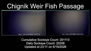 Chignik Weir Fish Passage Chignik Weir Fish Passage
