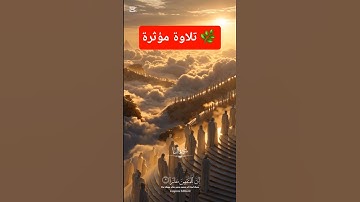 تلاوة مؤثرة وخاشعة ❤️ #قران_كريم #آيات #تلاوة_خاشعة #ارح_قلبك #quran #pourtoi #viral #news #love