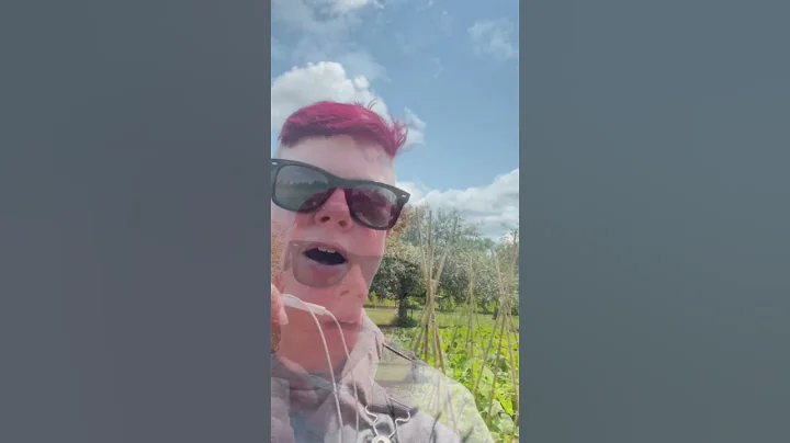 The Future of Your Garden is Here! 🌱 (AAS Trials at Reiman Gardens) #aaswinner