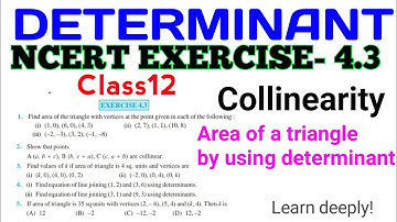 Determinant part 13 | Area of triangle using determinants | Colinearity | NCERT exercise 4.3 class12