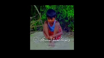 مَا سَلَكَكُمْ فِي سَقَرَ سورة المدثر القارئ شريف مصطفى