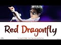 Cho Yong Pil 조용필 Red Dragonfly 고추잠자리 Lyrics Color Coded Han Rom Eng mp3