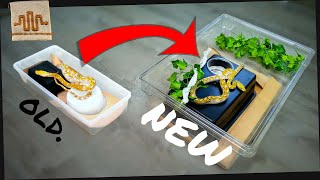 Creating a BETTER DIY Snake Enclosure