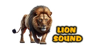 Lion Sound Roaring Lion Wild Animal Sound Cartoon Max C Max