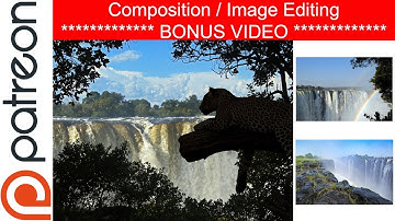 Composition + Photoshop image editing for artists - Jason Morgan wildlife art