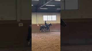 Victor var BÄST i tisdags🥹 han var väldigt pigg och stark men han löste det fint!🤍 #horse #galopp