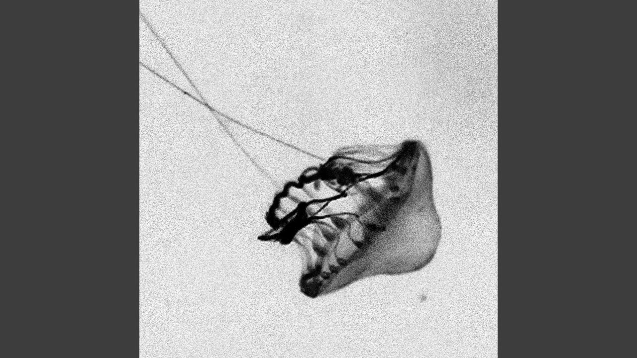 Watch Continuum 0202 on YouTube Watch Continuum 0202 on YouTube