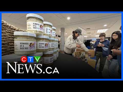 Edmonton <strong>mall</strong> home to thousands of urban bees