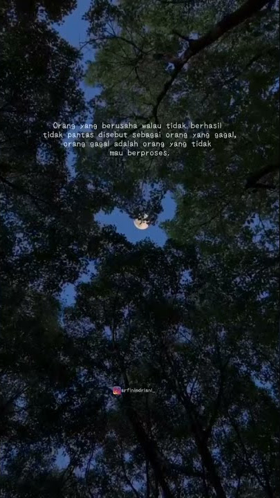 Story Wa lagu barat #56
