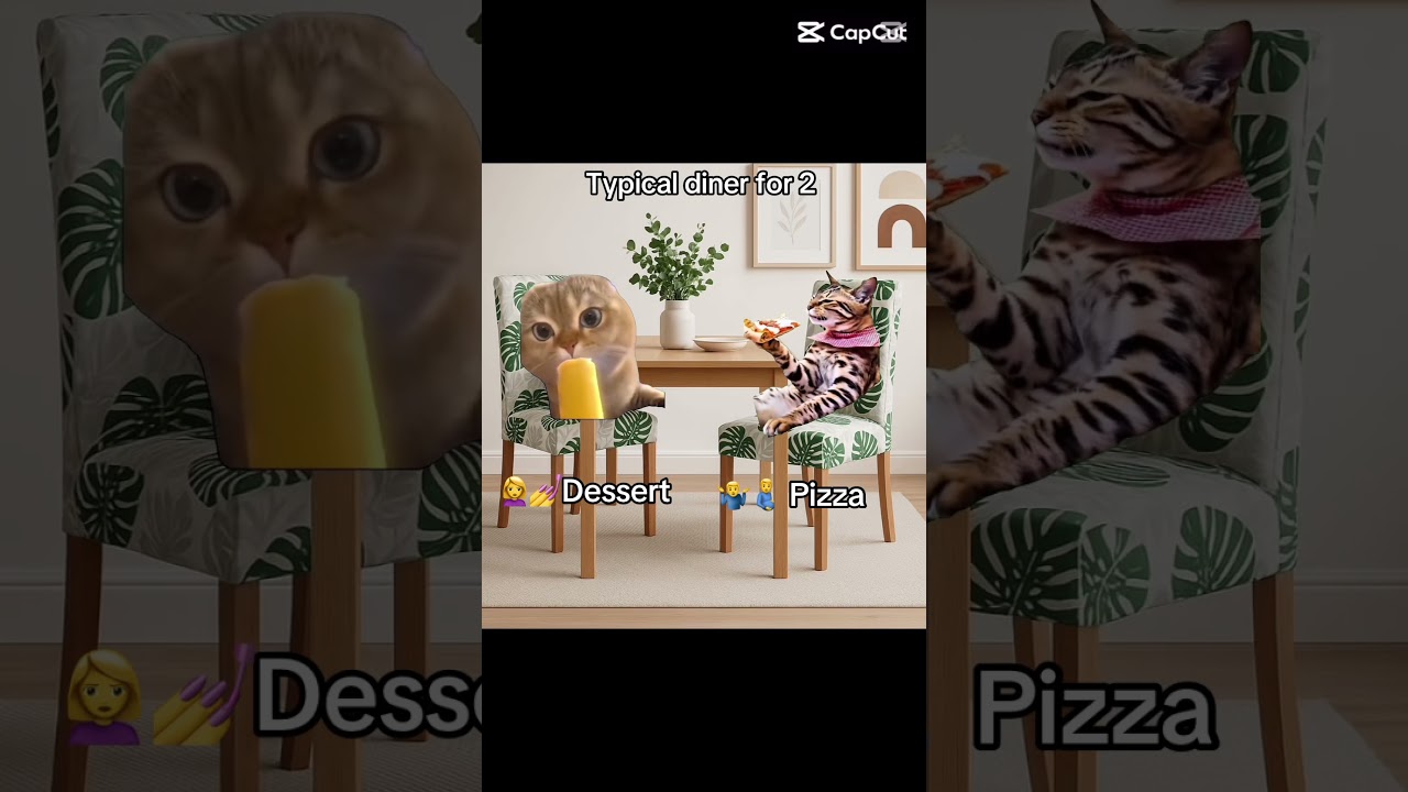 A perfect dining chair set of 2 at Priceworth.com.au 