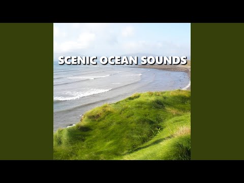 Happy Oceanfront Beach Sounds