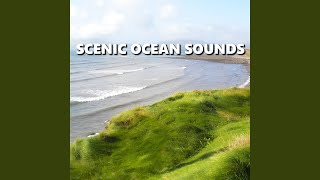 Happy Oceanfront Beach Sounds