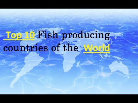 top-10-fish-producing-countries-of-the-world