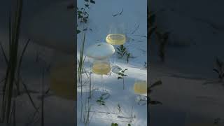 Glass made from sand, keeping it cool where it began.