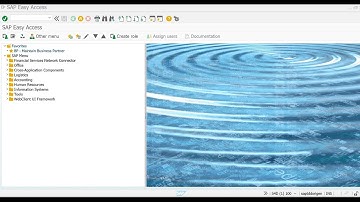SAP Document and reporting compliance for Argentina - DEMO