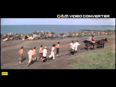 პირველი მერცხალი ფაცია