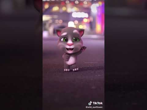 Con mèo nhảy múa rất đáng yêu